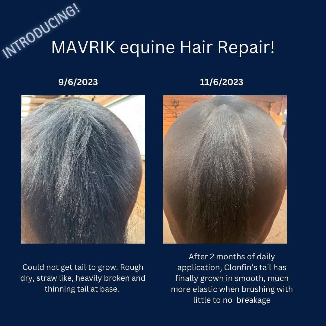 Coat and Scar Repair | Hair Regrowth Oil