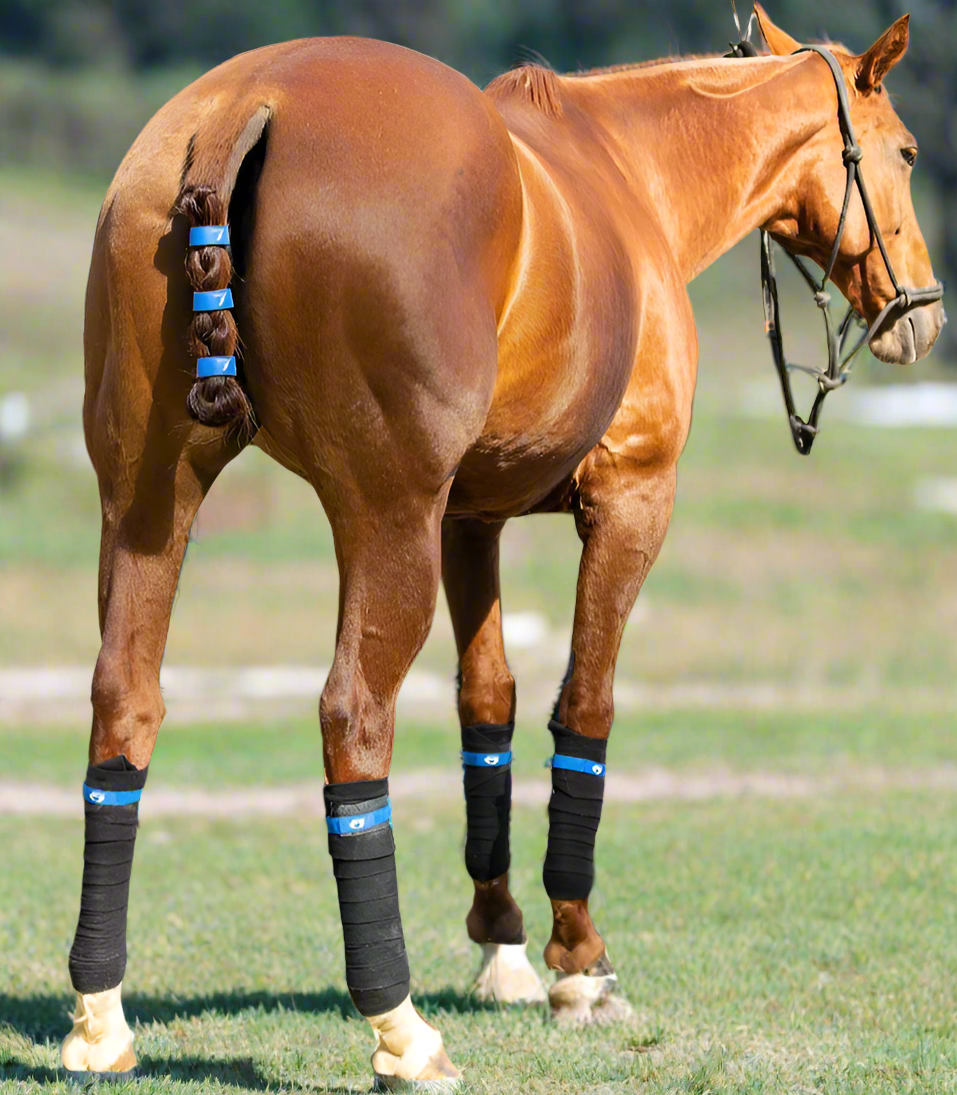 TailCinch™ Equine Tail Ties (Original)