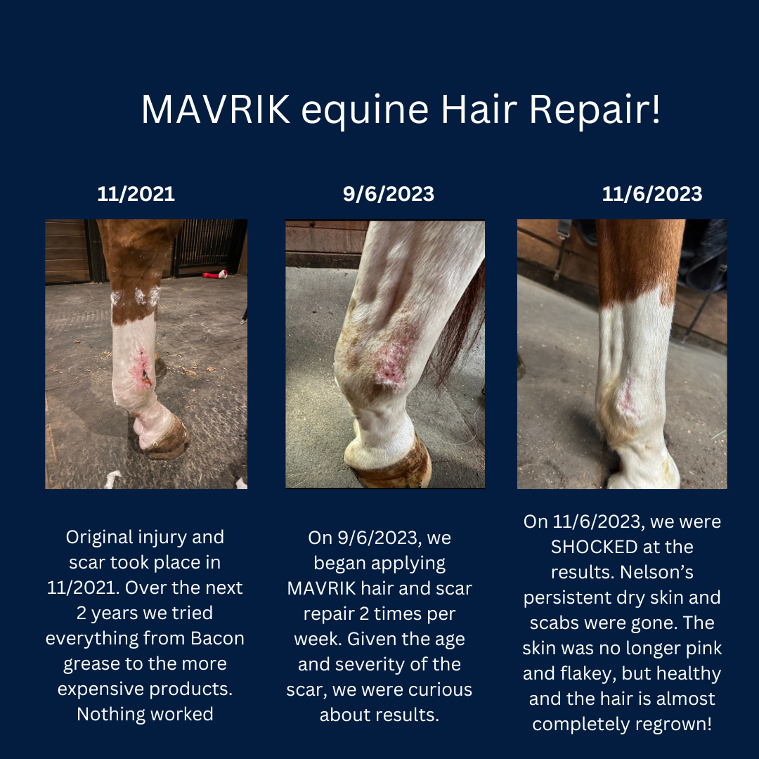 Coat and Scar Repair | Hair Regrowth Oil