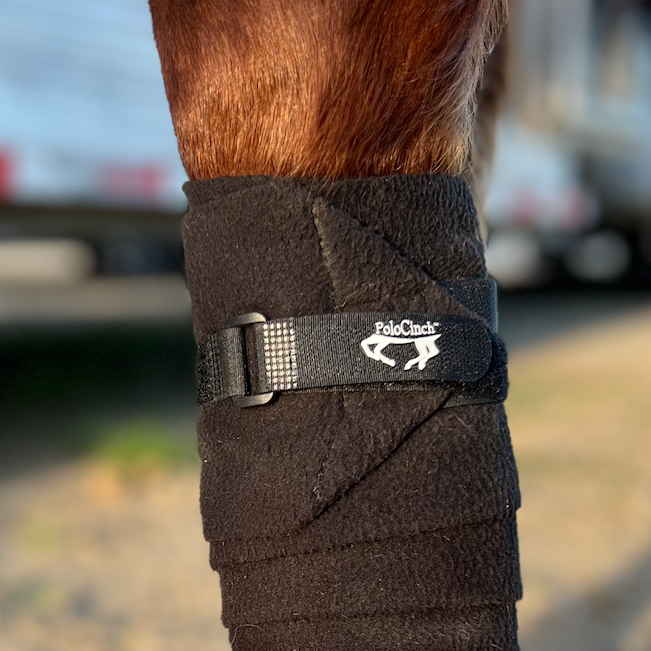 PoloCinch™ - D-Ring Polo Wrap Guards