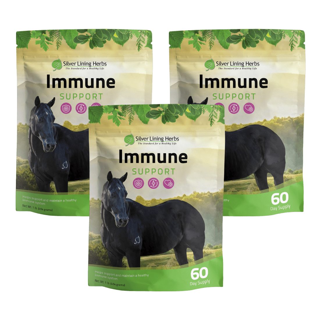 Immune Support for Horses