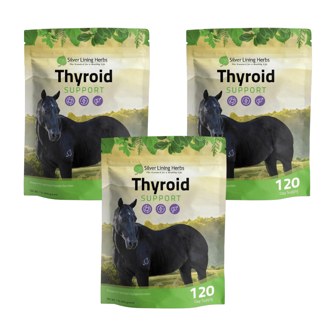 Thyroid Support for Horses