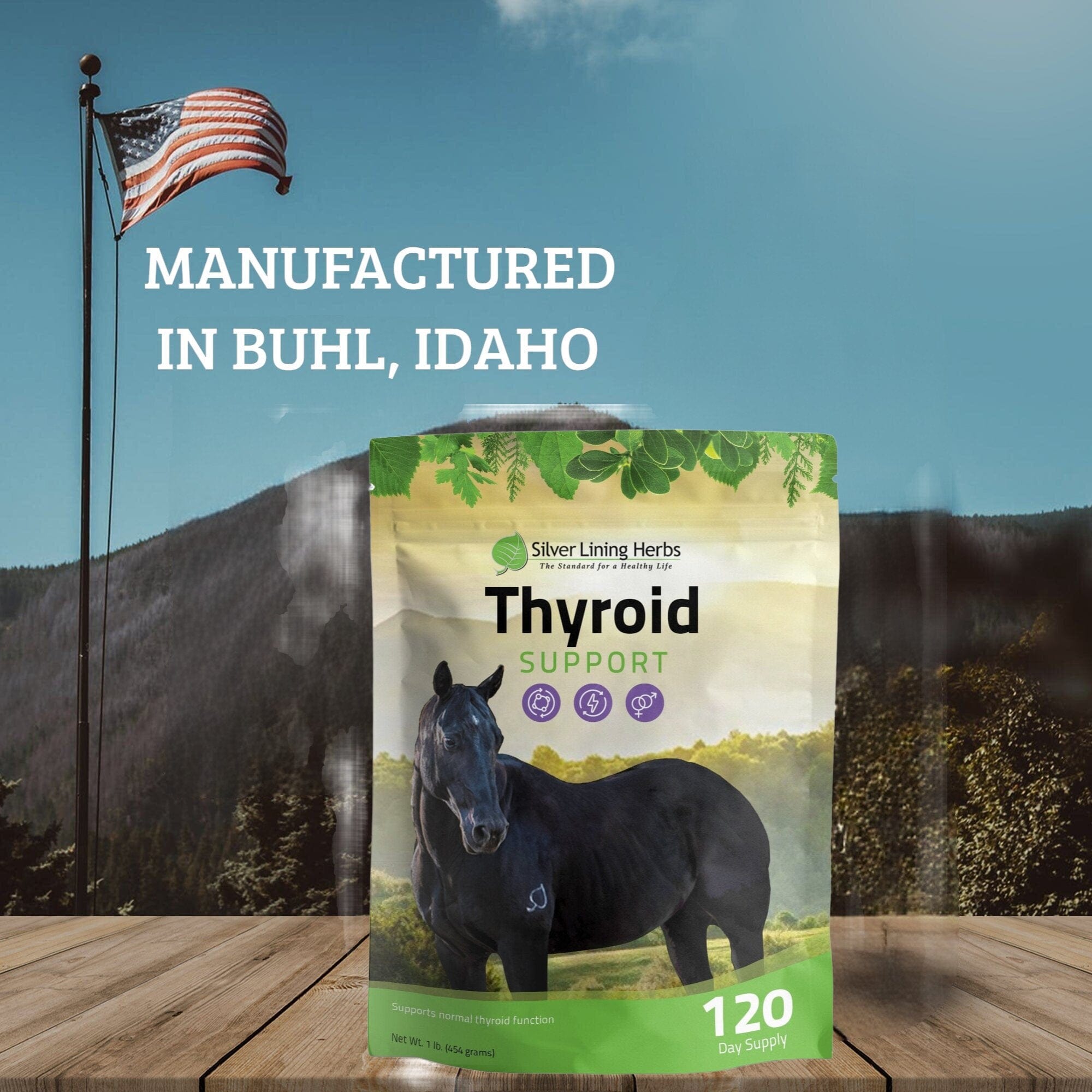 Thyroid Support for Horses