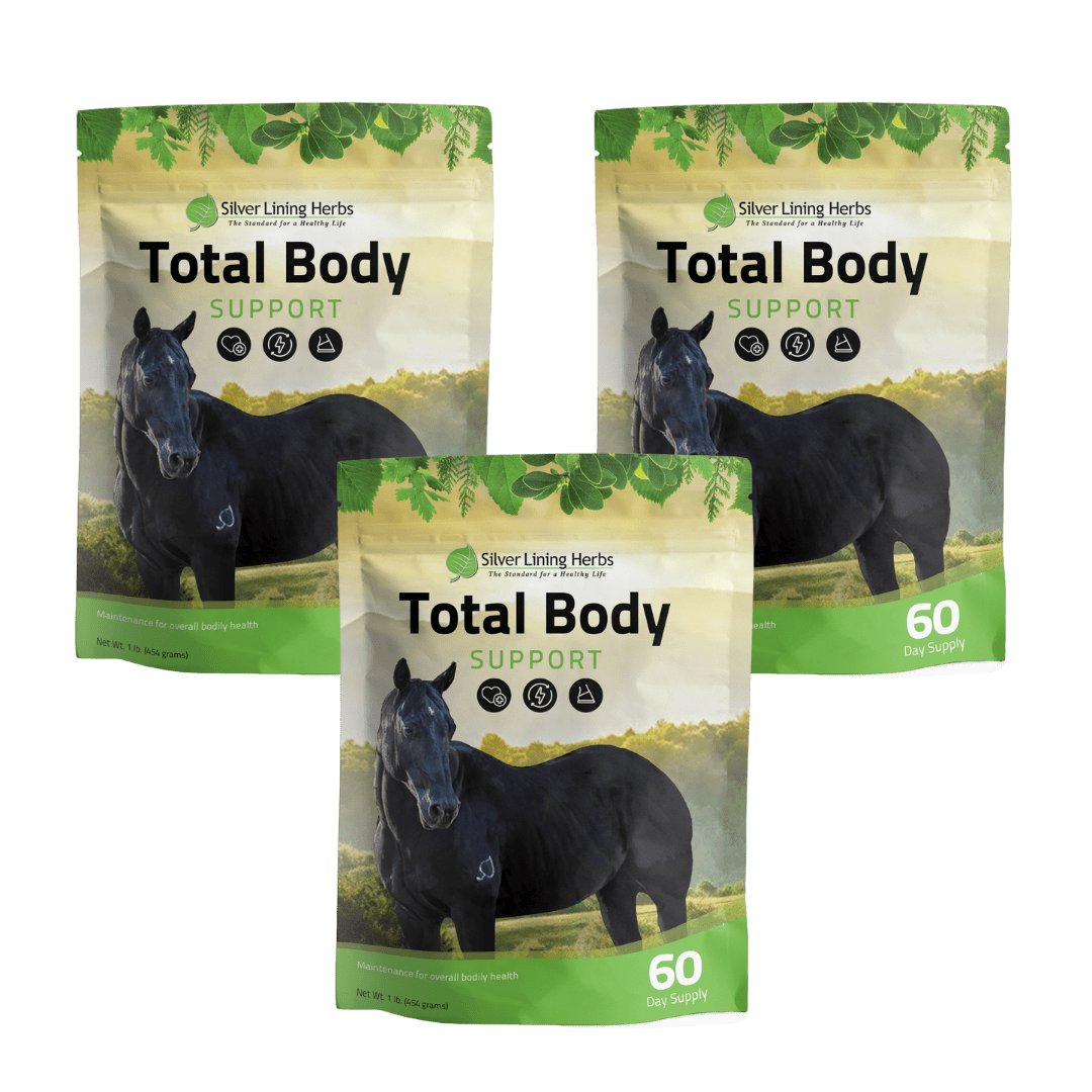 Total Body Support for Horses