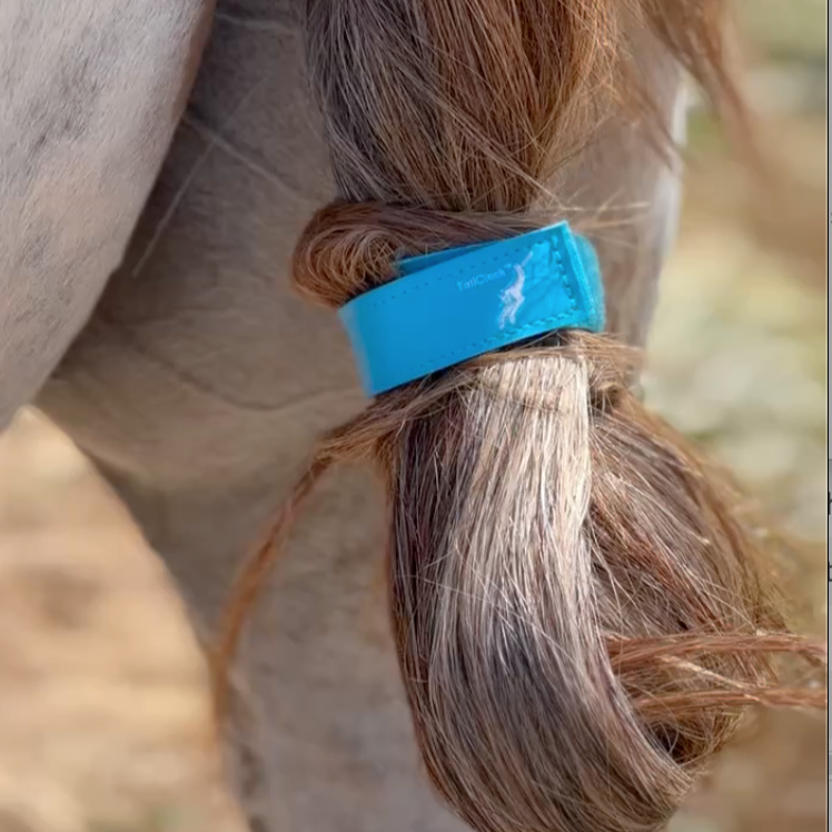 TailCinch™ Equine Tail Ties The Tail Cinch