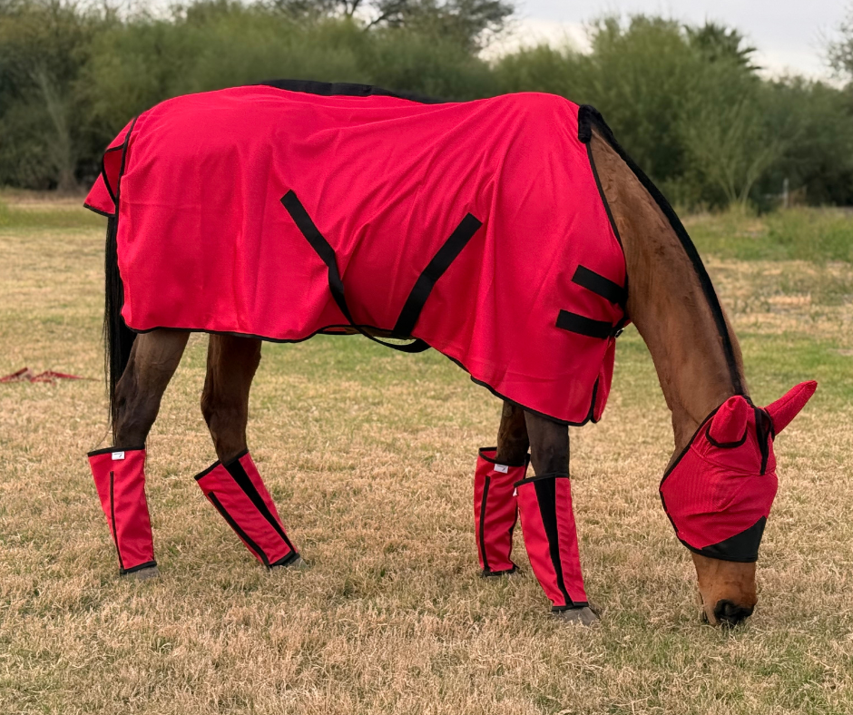 How to Get Your Horse Ready for Fly Season (Before the Flies Show Up)