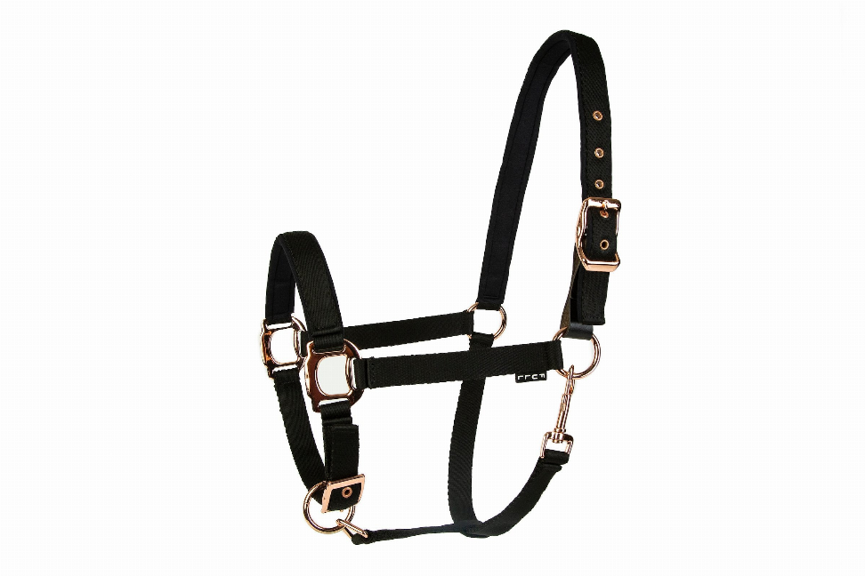 Padded Leather Breakaway Halter with rose gold