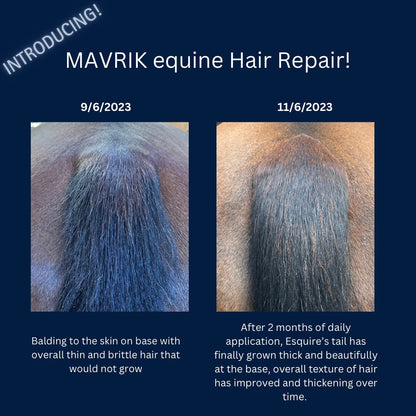 Coat and Scar Repair | Hair Regrowth Oil