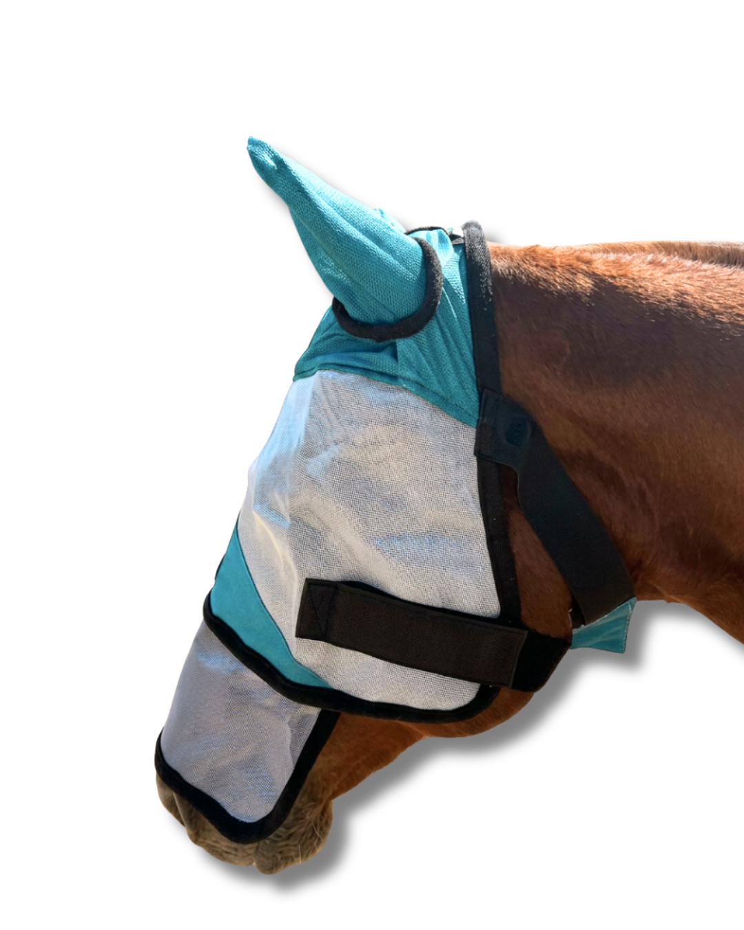 ByeBye Fly Mask