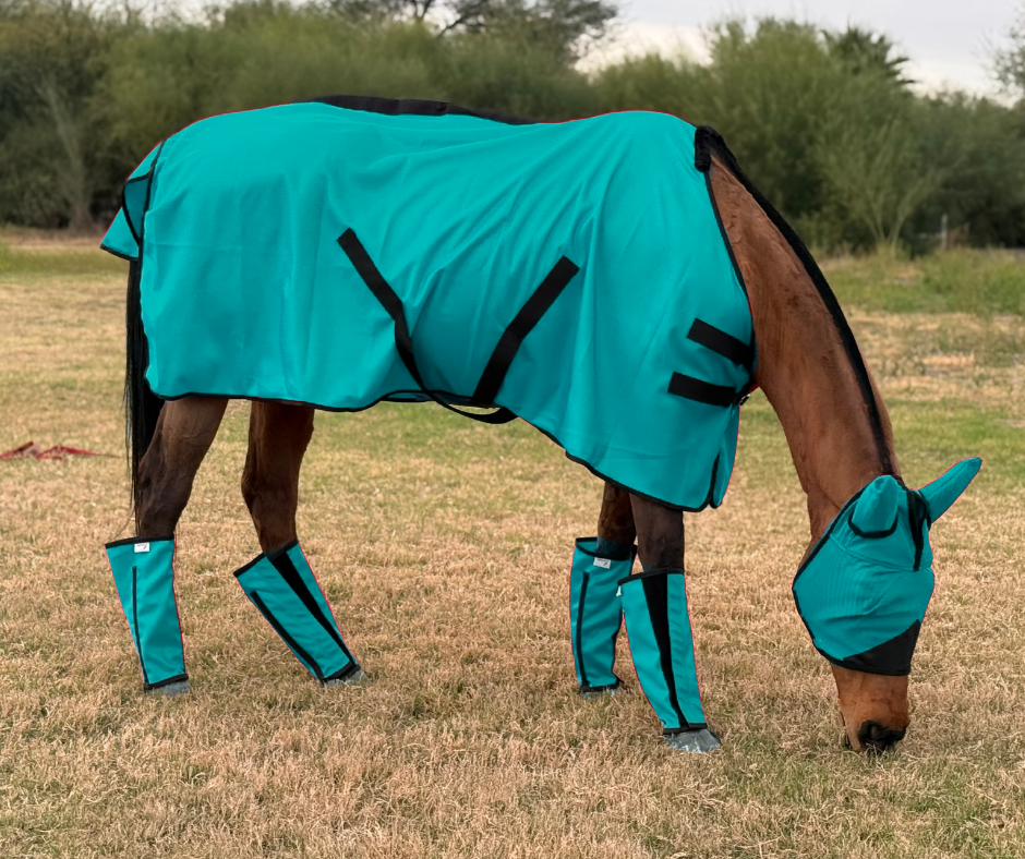 Full matching fly kit — teal