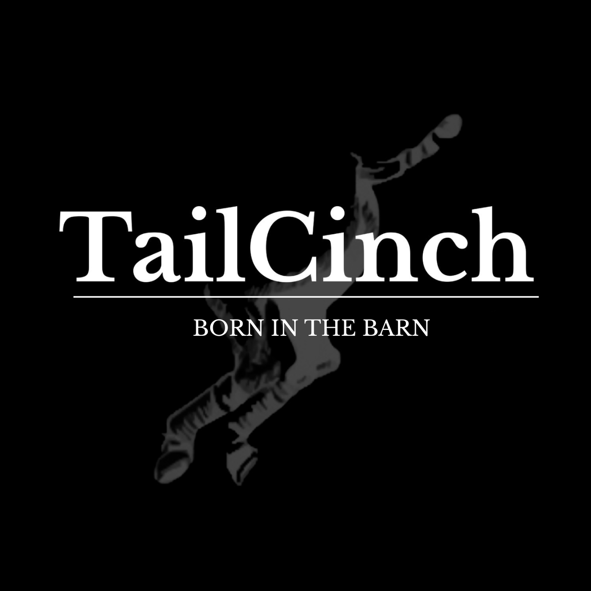 TailCinch logo