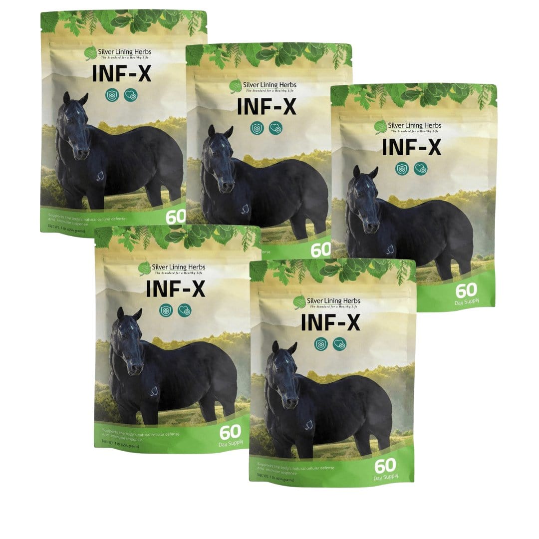 INF-X for Horses