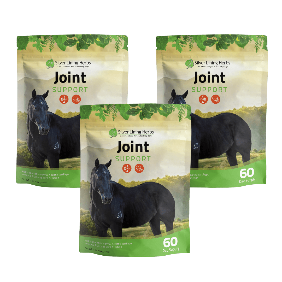 Joint Support for Horses