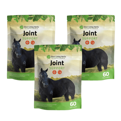 Joint Support for Horses