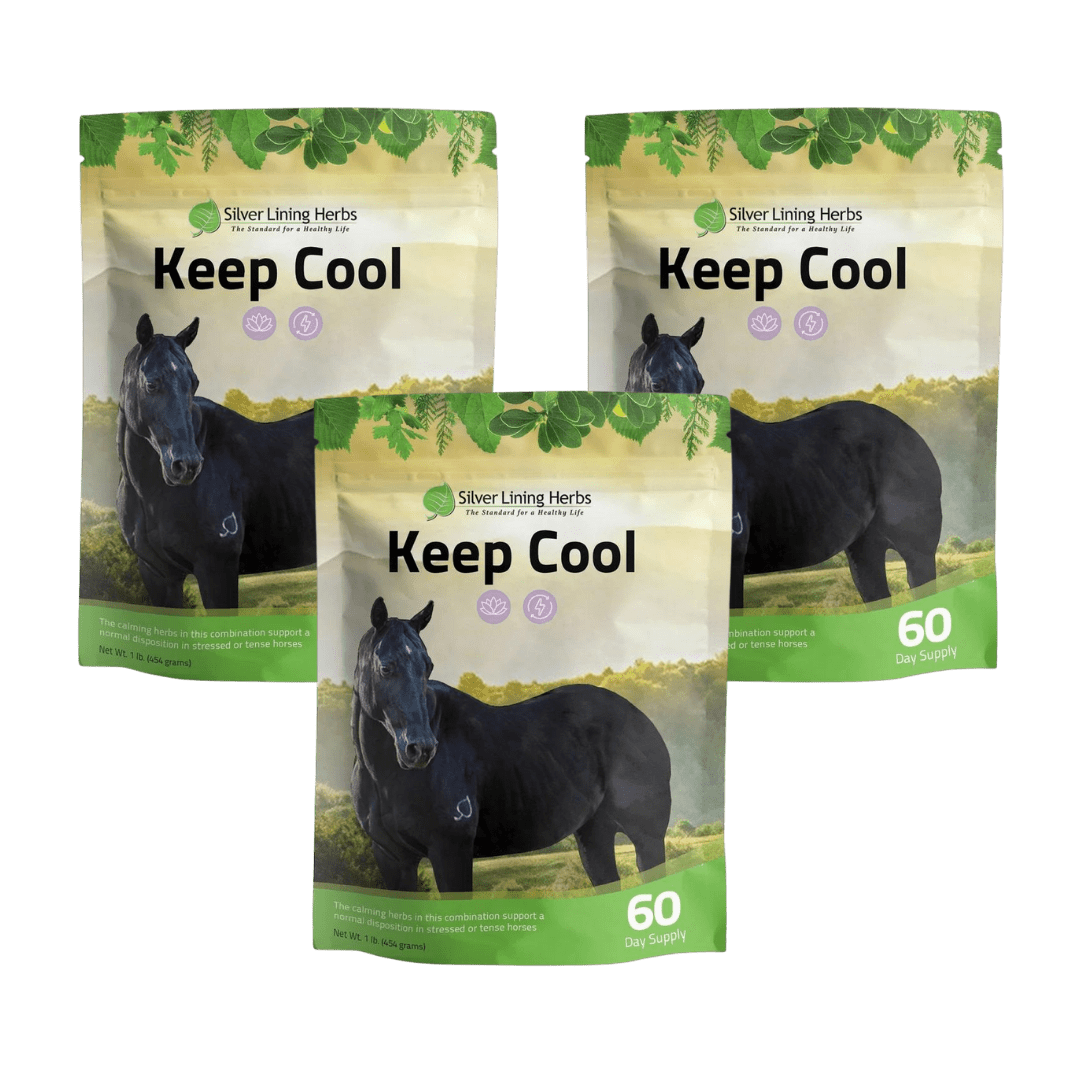 Keep Cool for Horses