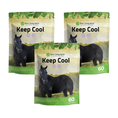 Keep Cool for Horses