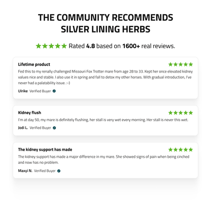 Kidney Support for Horses