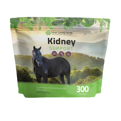 Kidney Support for Horses