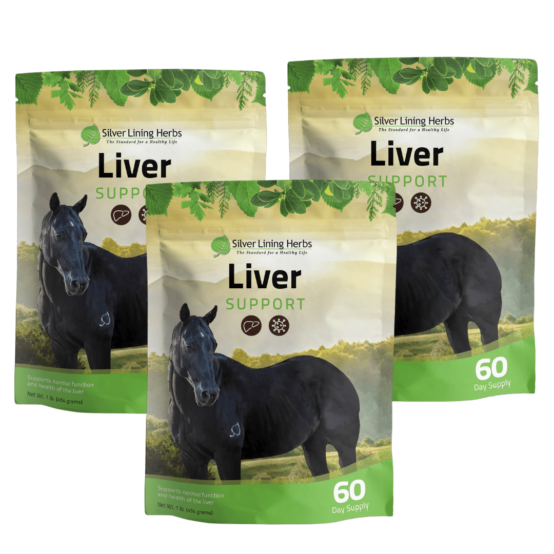 Liver Support for Horses