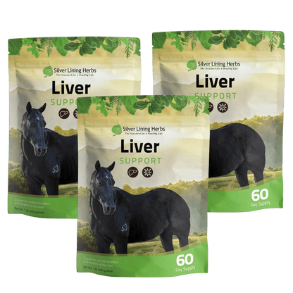 Liver Support for Horses