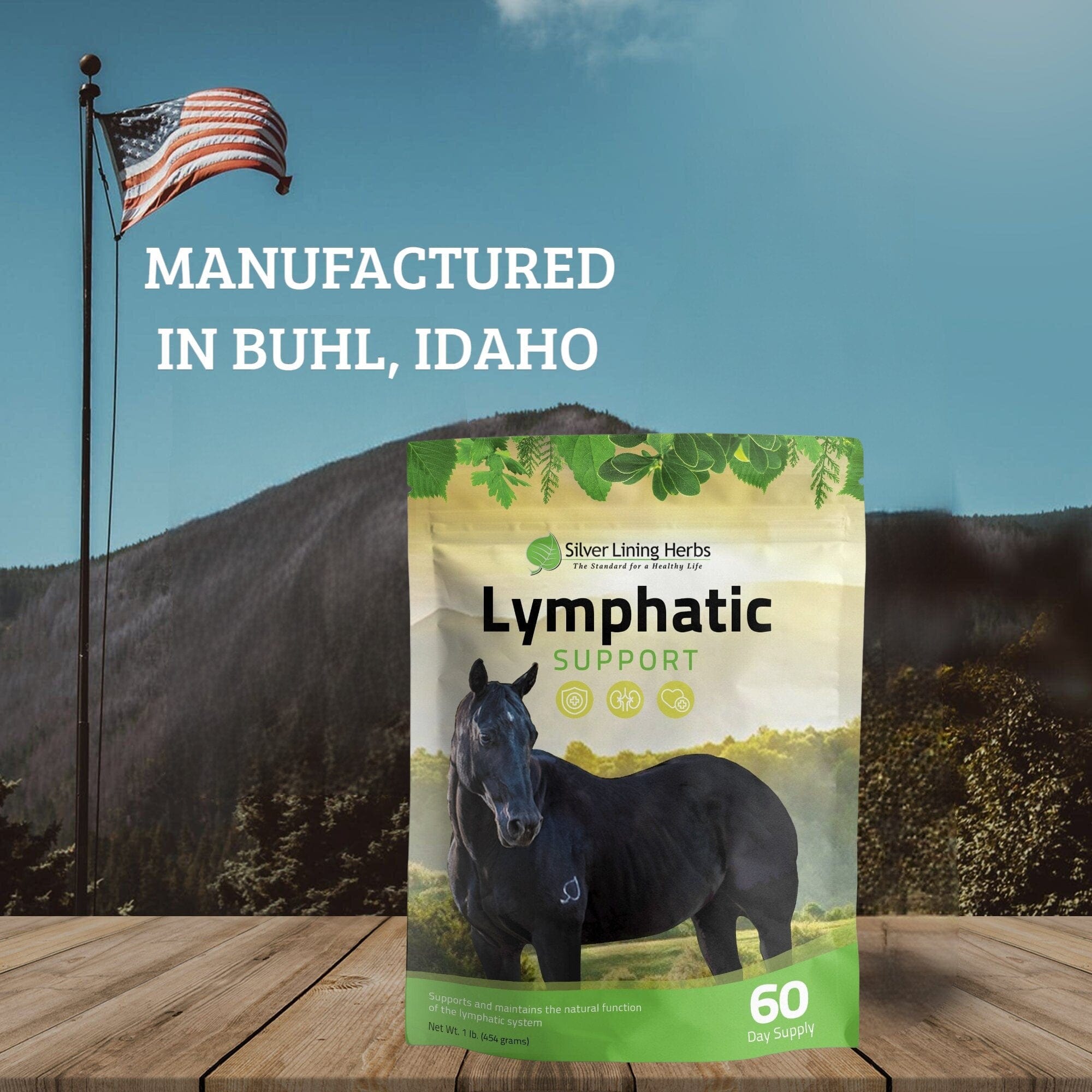 Lymphatic Support for Horses