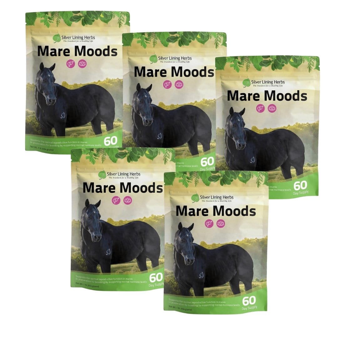 Mare Moods For Horses