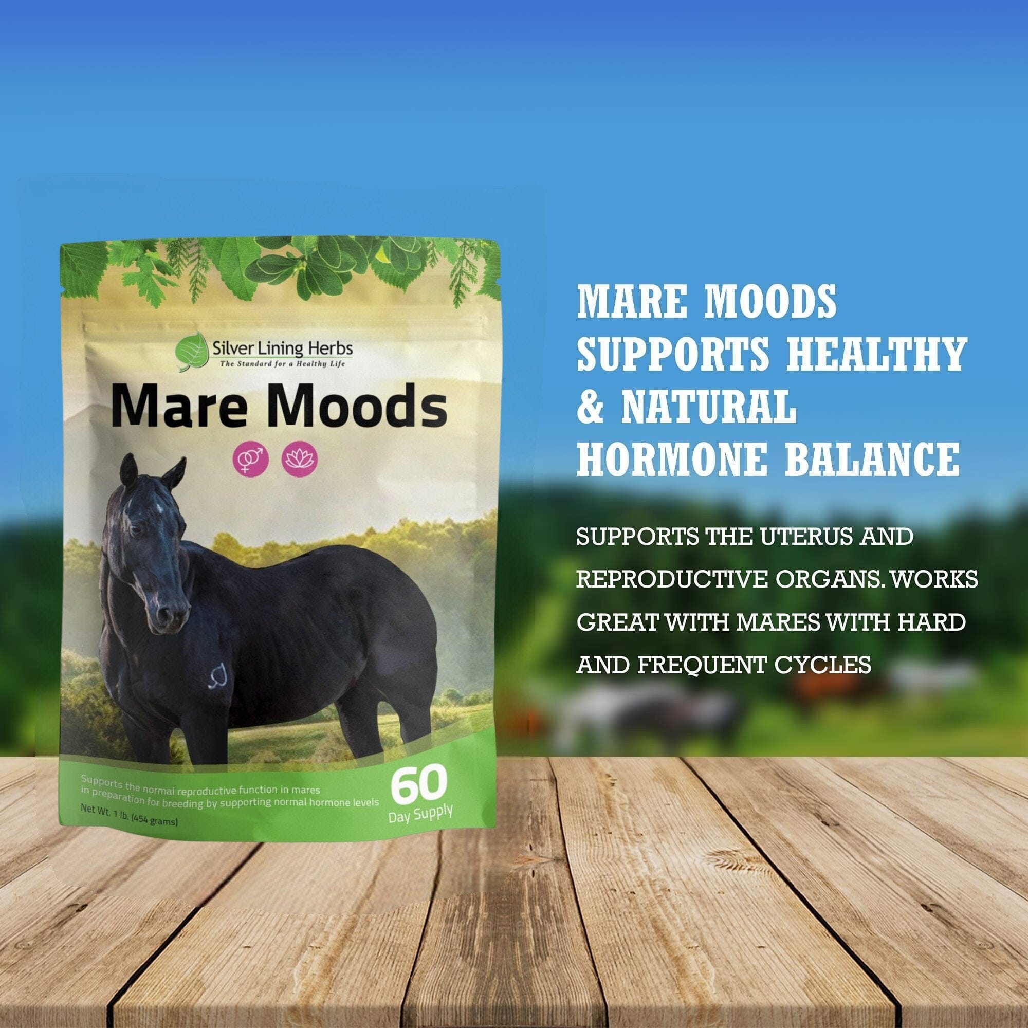 Mare Moods For Horses