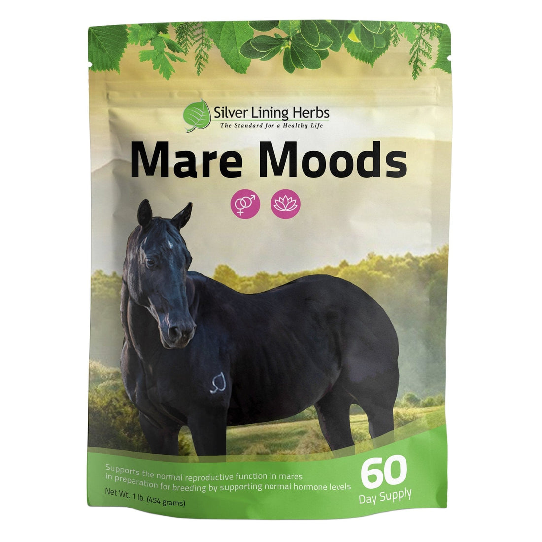 Mare Moods For Horses