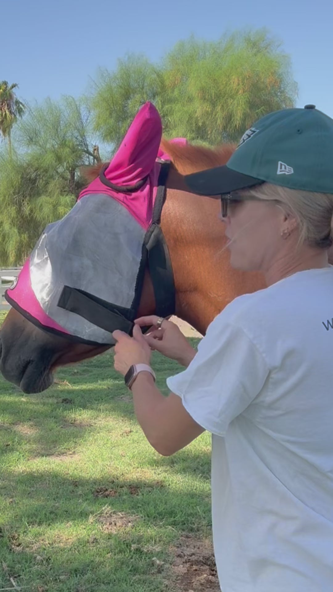 ByeBye Fly Mask