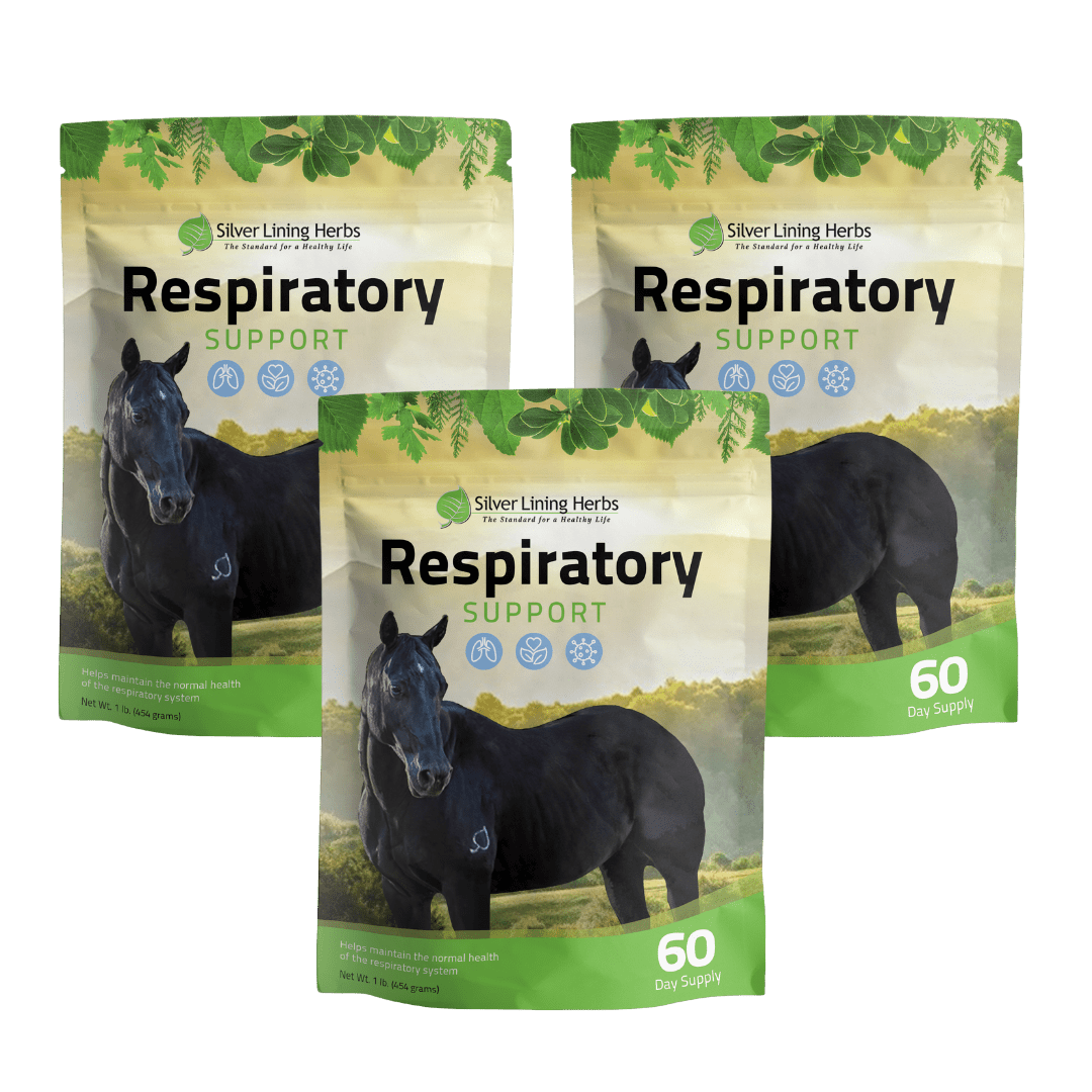 Respiratory Support for Horses