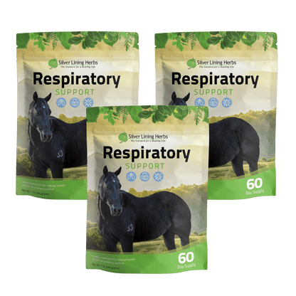 Respiratory Support for Horses
