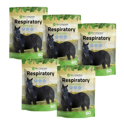 Respiratory Support for Horses