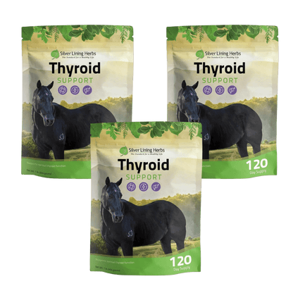 Thyroid Support for Horses