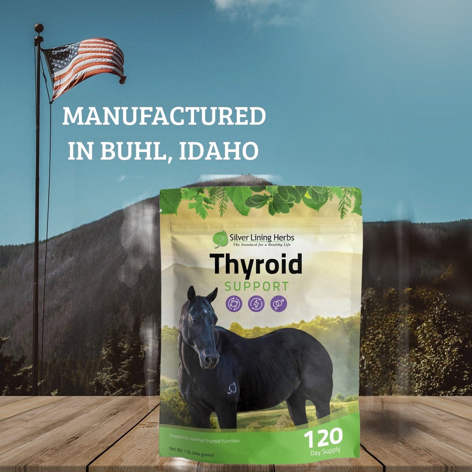 Thyroid Support for Horses