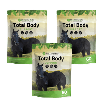 Total Body Support for Horses